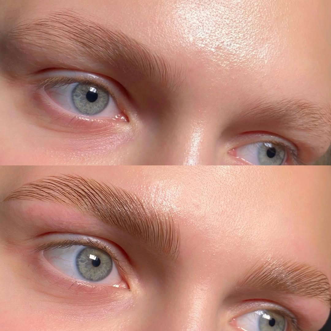 Работа Lawsonia