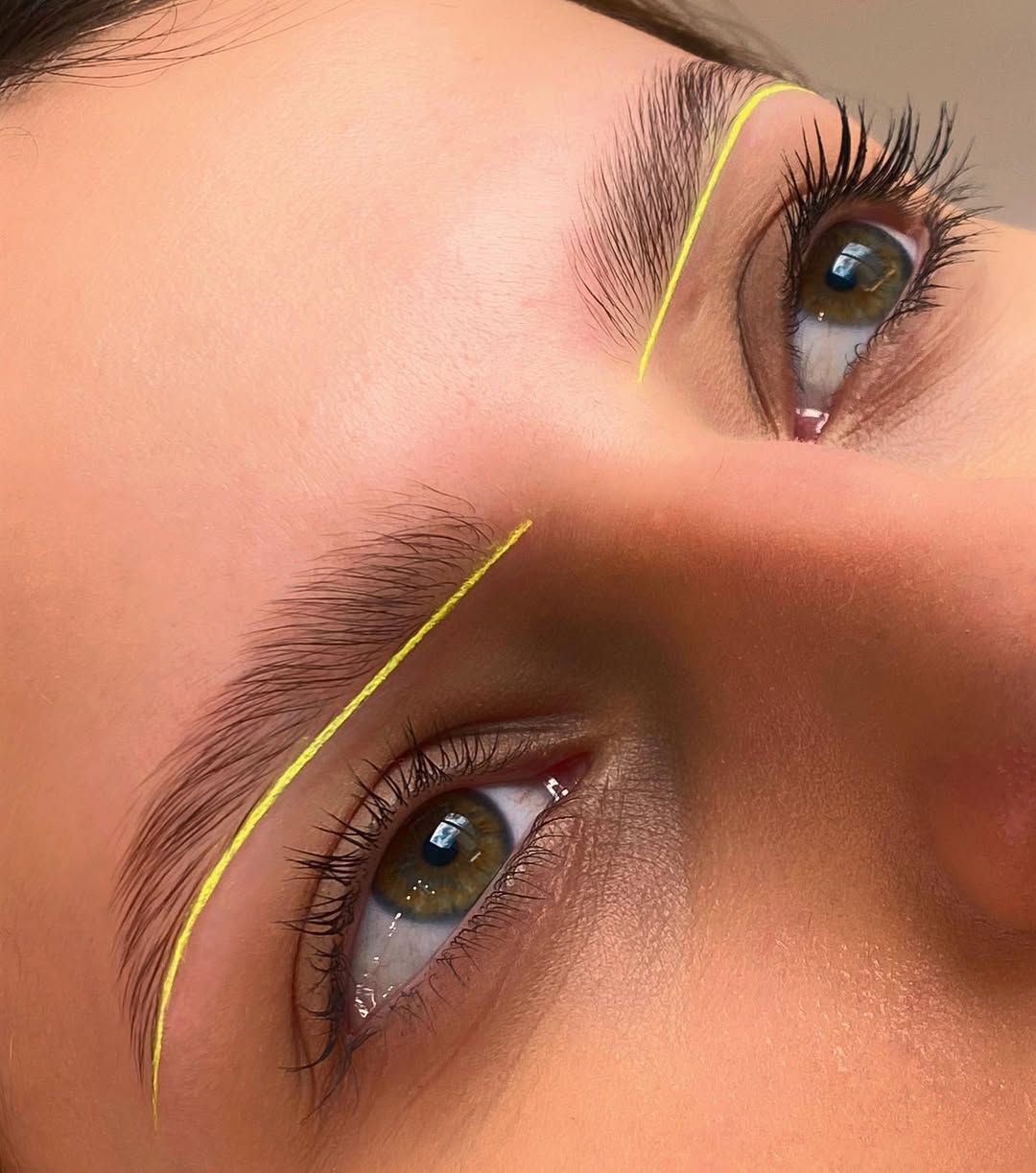 Работа Lawsonia