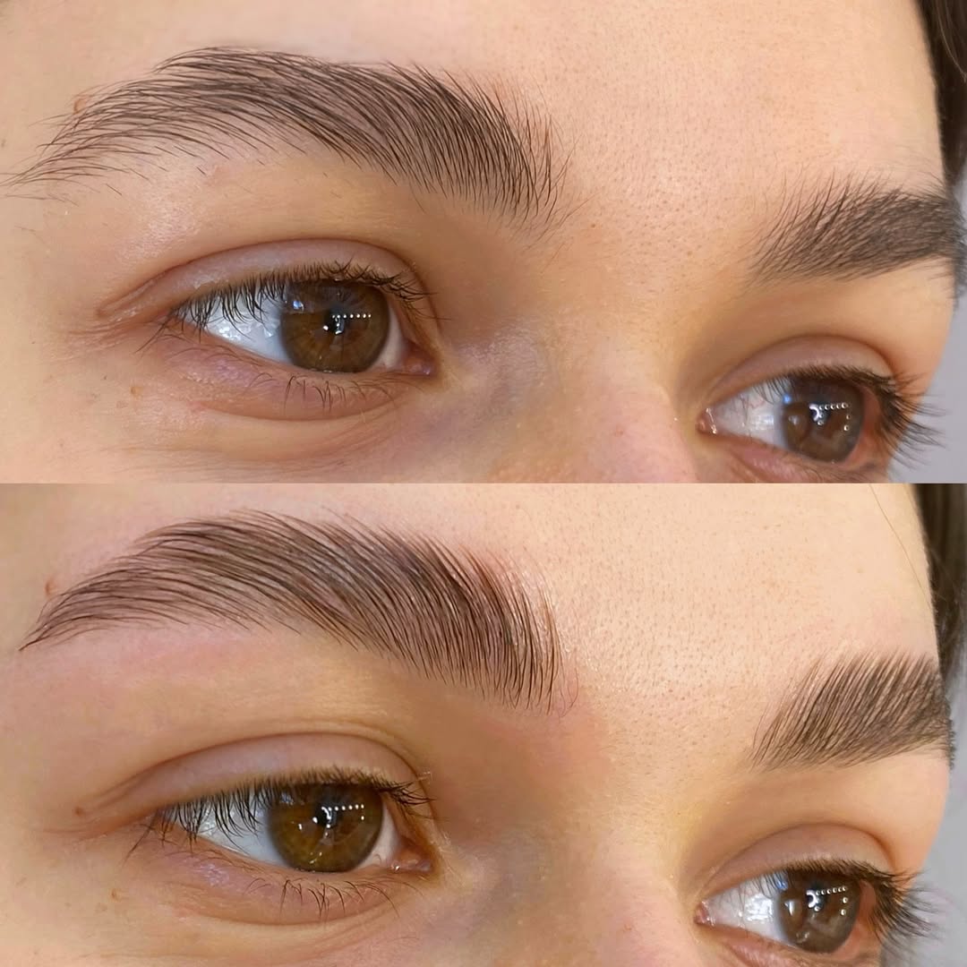 Работа Lawsonia