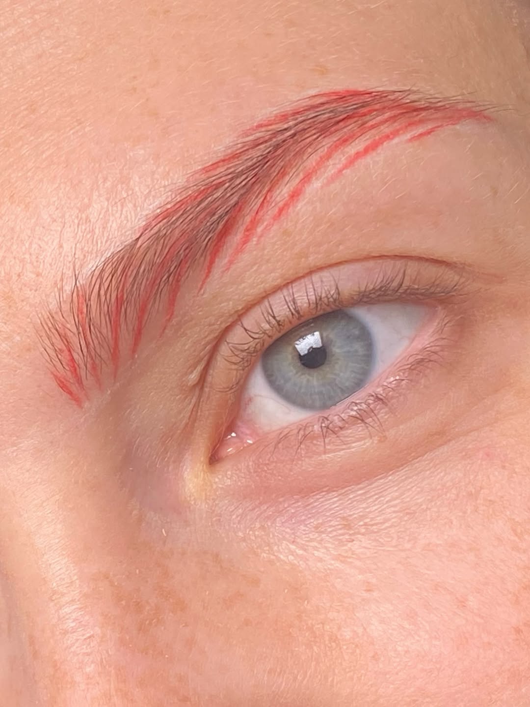 Работа Lawsonia